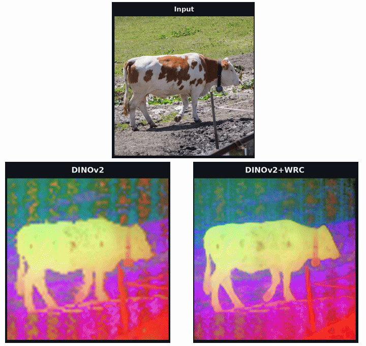 WRC feature upsampling comparison: Input, DINOv2, and DINOv2 with WRC