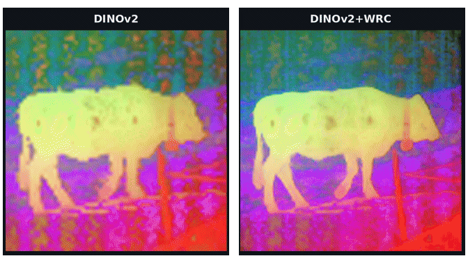 WRC feature comparison between DINOv2 and DINOv2 with WRC